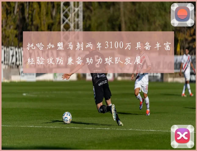 托哈加盟马刺两年3100万具备丰富经验攻防兼备助力球队发展