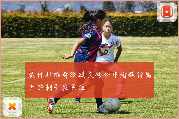 武什科维奇欲提交转会申请强行离开热刺引发关注